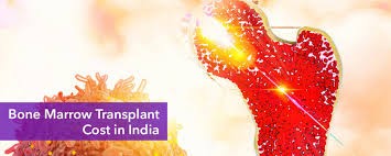 Bone Marrow Transplant in India Logo
