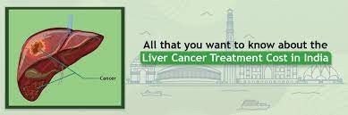 Liver Cancer Treatment Cost in India Logo