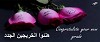 online flower shop doha Logo