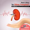 Kidney Donor Match Logo