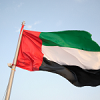 Buy Big Custom made UAE Flags Logo