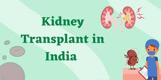 Kidney Transplant Price in India Logo