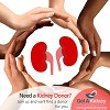 Kidney Transplant Donor Logo