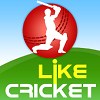 Cricket News Logo