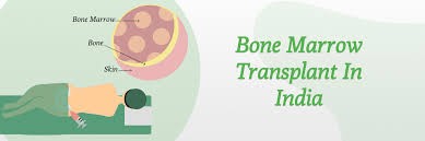 Best Bone Marrow Transplant Hospital in India Logo