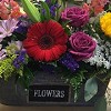 Nana's Bloomin' Crazy