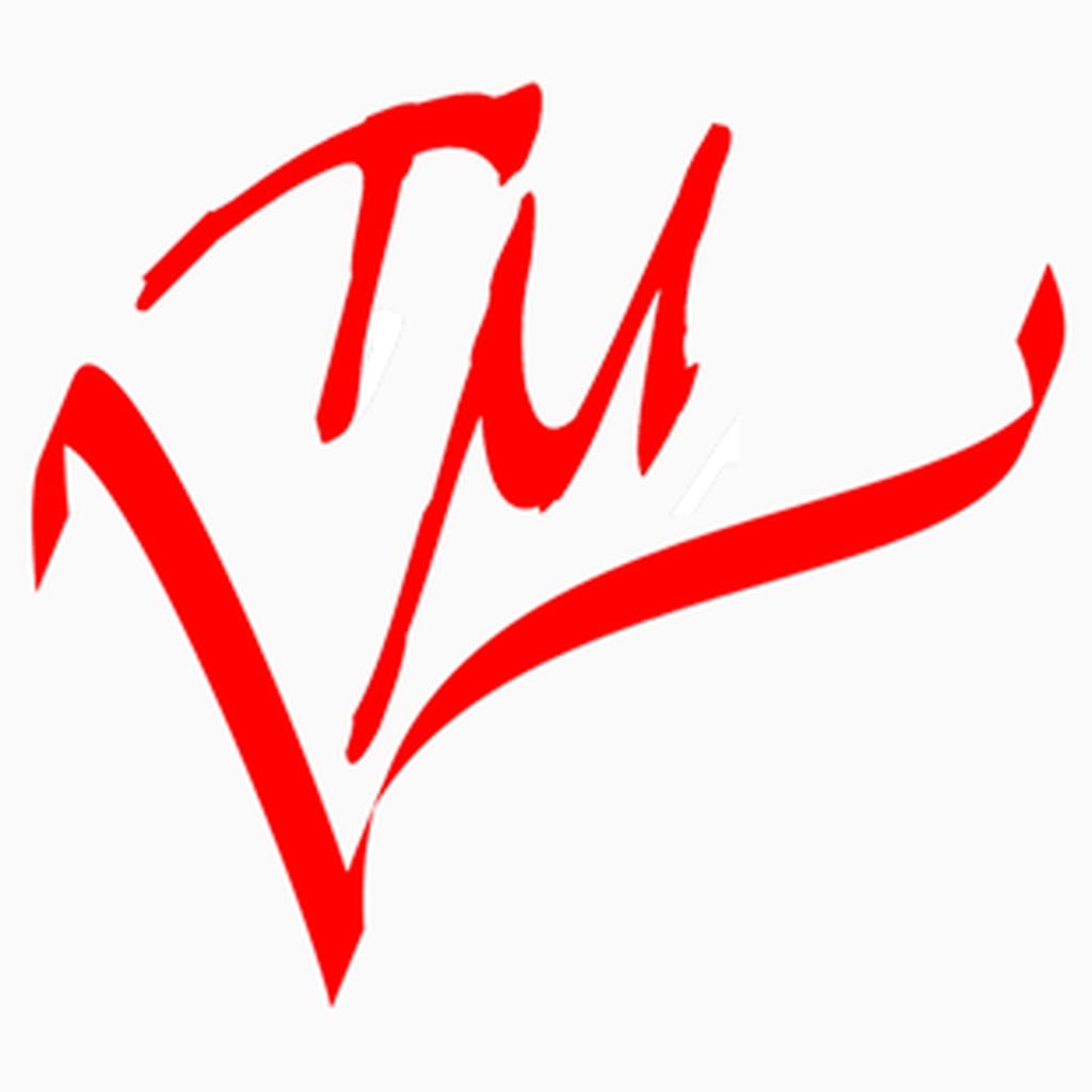 Top Masters, LLC Icon