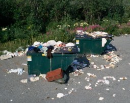 Illegal Dumping