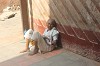 Abandoned Widows In Vrindavan