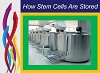 How Cord Blood Stem Cell Are Stored  - Stemology.co.uk