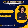 SAP Business Training In Lesotho: SAP Implementation Upgrade Your Business With Prompt Edify