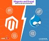 Which is the best framework between Magento and Drupal?