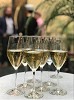 Provningar  vinexpert går igenom historien - Brasserie Makalös