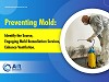 Absolute mold remediation ltd offers mold removal services in toronto