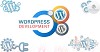 Wordpress Development Services in NewYork USA