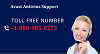 Avast Antivirus Support Phone Number 1-888-985-8273