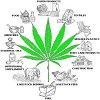 Hemp in Product and Industry 