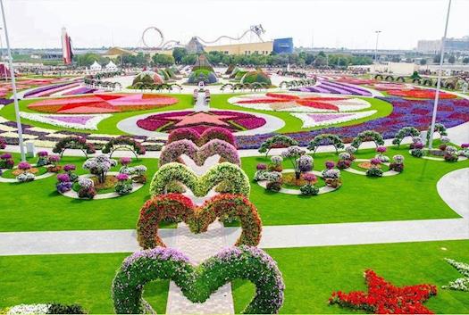 Dubai miracle garden 