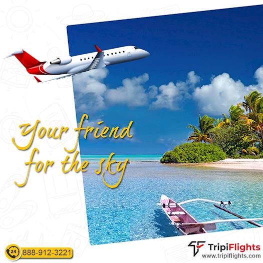 Travel at your Own Will with Cheap Flights  