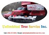 Best Clarksville Tree Service - Tree Care Services