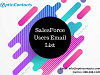 Salesforce Users Email List