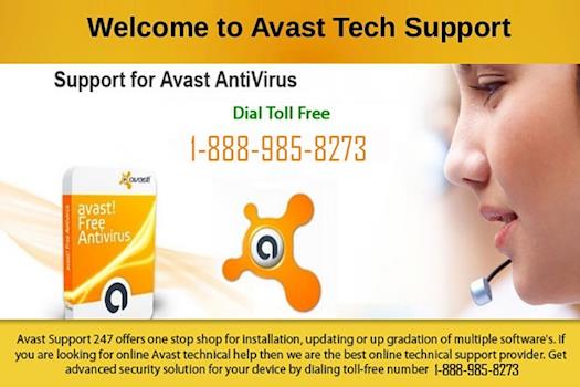 AVAST Antivirus Technical Support Services @ 1-888-985-8273
