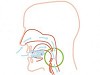 Oral Appliance Therapy for Snoring and Sleep Apnea				