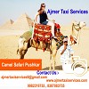 Best of Rajasthan tour package