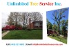 Baltimore Tree Services, Tree Removal, Tree Cutting & Tree Care
