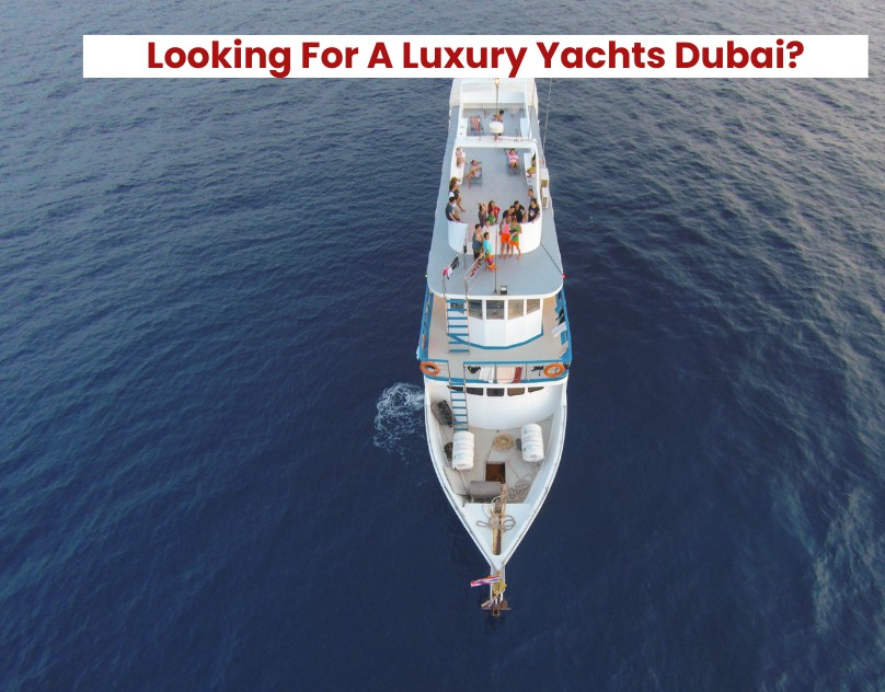 Looking For A Luxury Yachts Dubai?