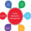 Online Reputation Management Services