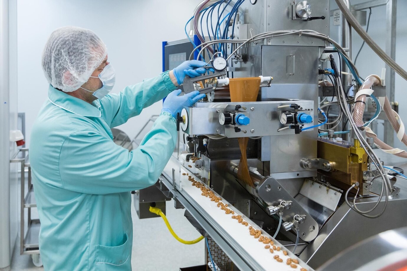 Searching for a Quality Cashew Processing Machine?