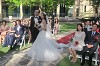 Marriage Celebrants in Sydney City & Metropolitan