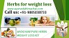 Lose Weight with Arogyam Pure Herbs Weight Loss Kit