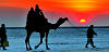 Rann Of Kutch Festival