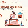 Software Development Company in Gurgaon 