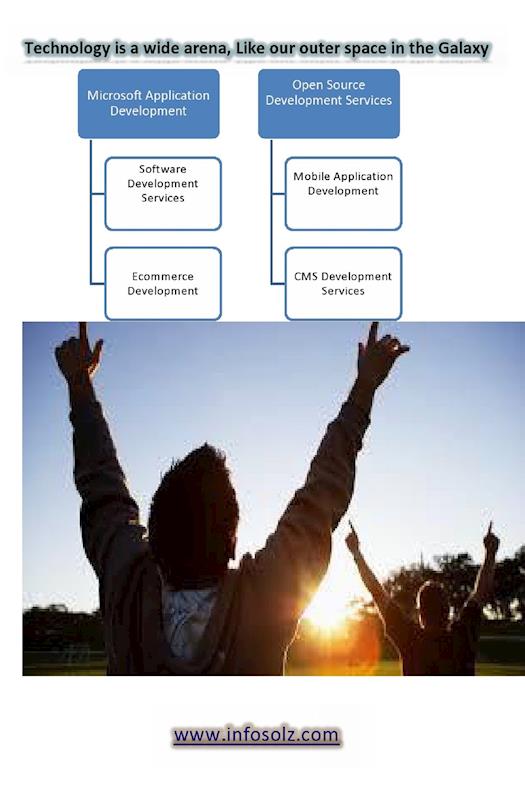ASP.Net Application Development services by Infosolz