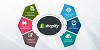 Custom Shopify Web Design Services