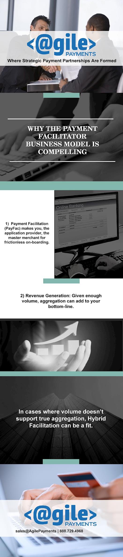 The Payment Facilitator Business Model