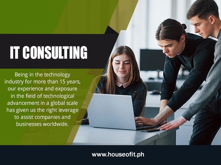 IT Consulting