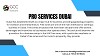 pro services in Dubai