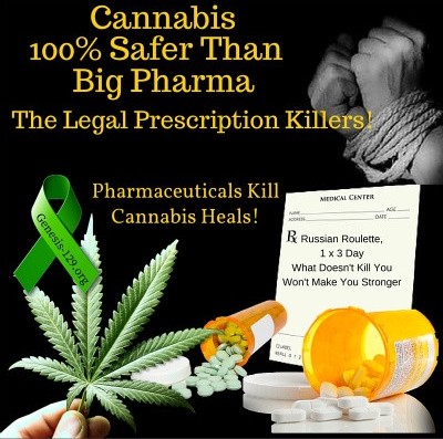 Cannabis, 100% Safer Than Big Pharma! 