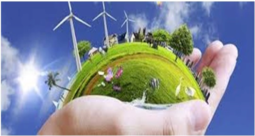 Environmental Consultant