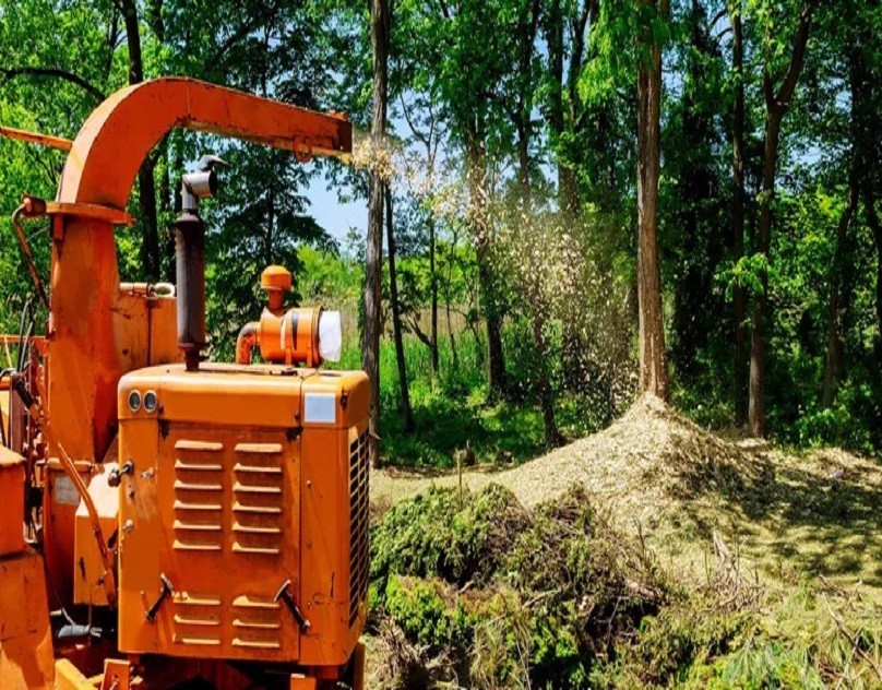 Professional Tree Services In State College