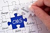 CMS - WordPress Joomla Drupal Services in Singapore