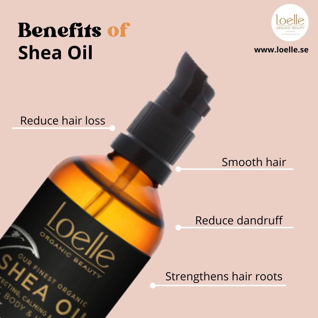 Organic Shea Oil 100ml for Face Skin | Loelle Organic Beauty