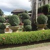 Hedge Trimming Landscape gardening Barrhead