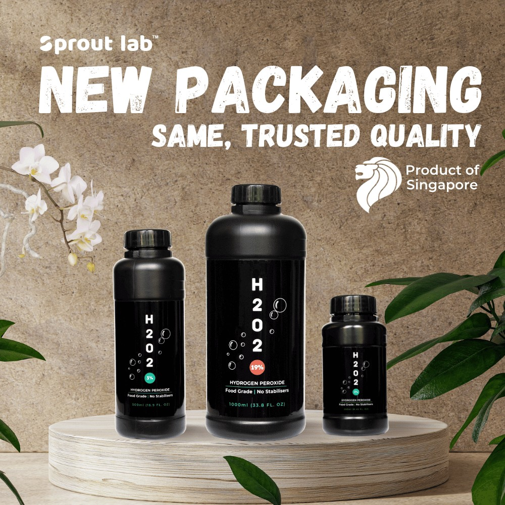  Buying Hydrogen Peroxide in Singapore