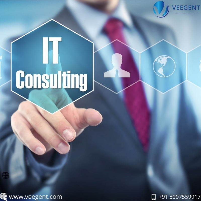 Outsourced IT Services | IT Consultant Services in India | Veegent 