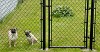 Is fencing is safety for your pets????